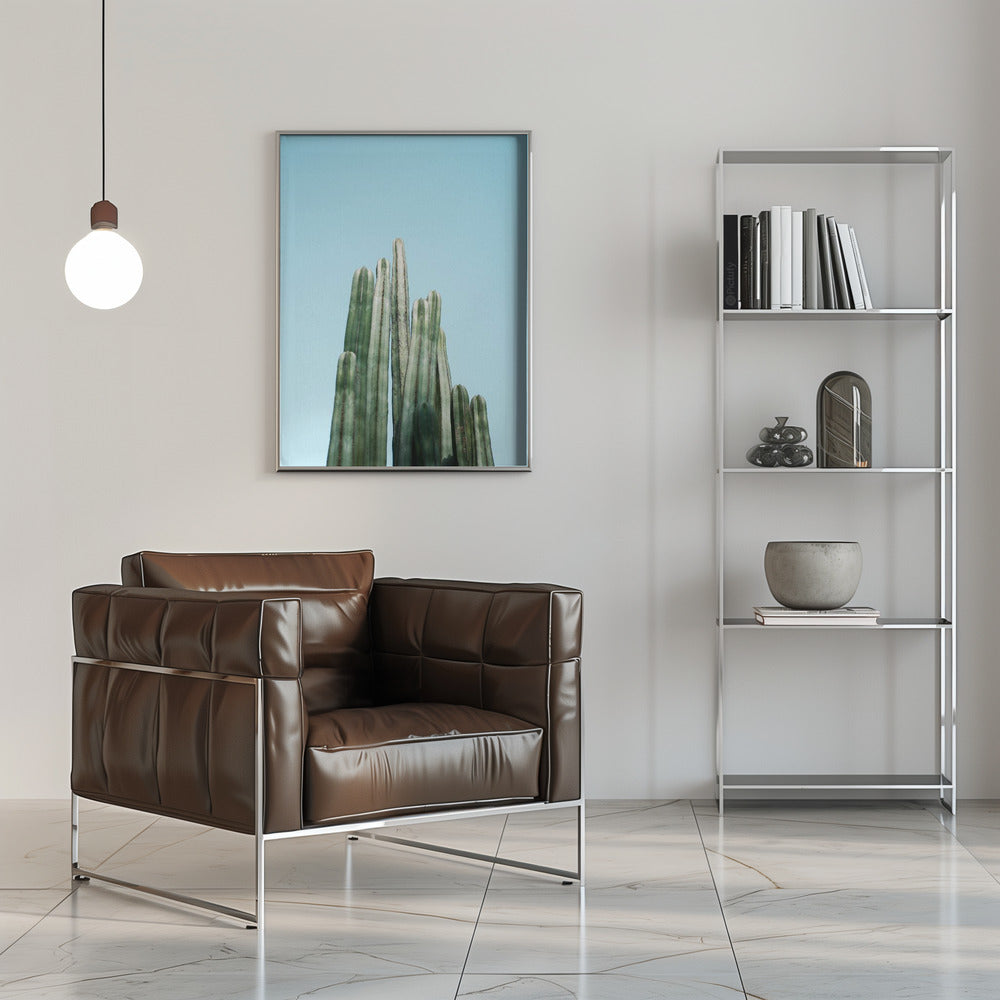 Cacti Poster